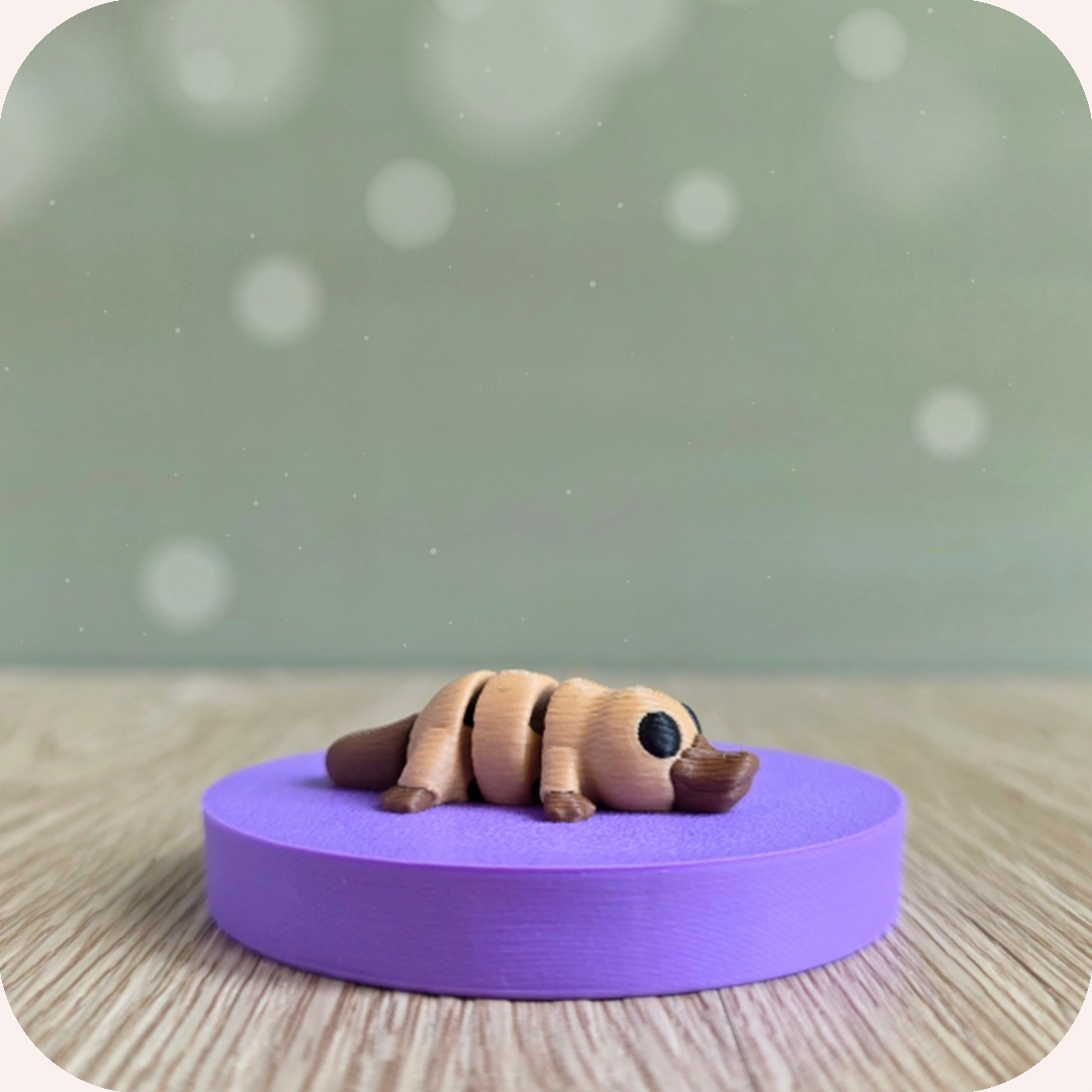 Mini ornithorynque - Ohana Dream