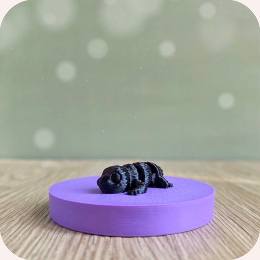 Mini gecko - Ohana Dream