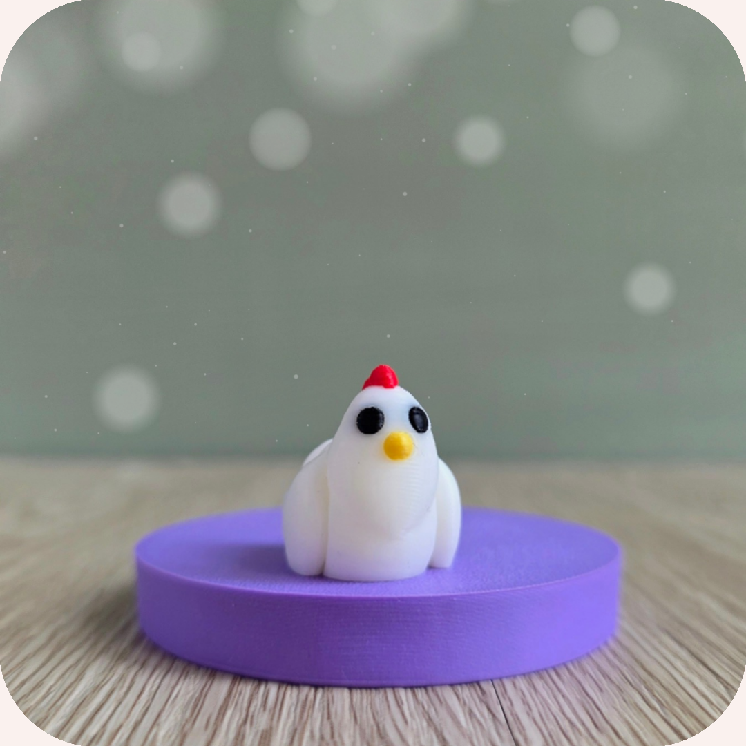 Mini poule - Ohana Dream