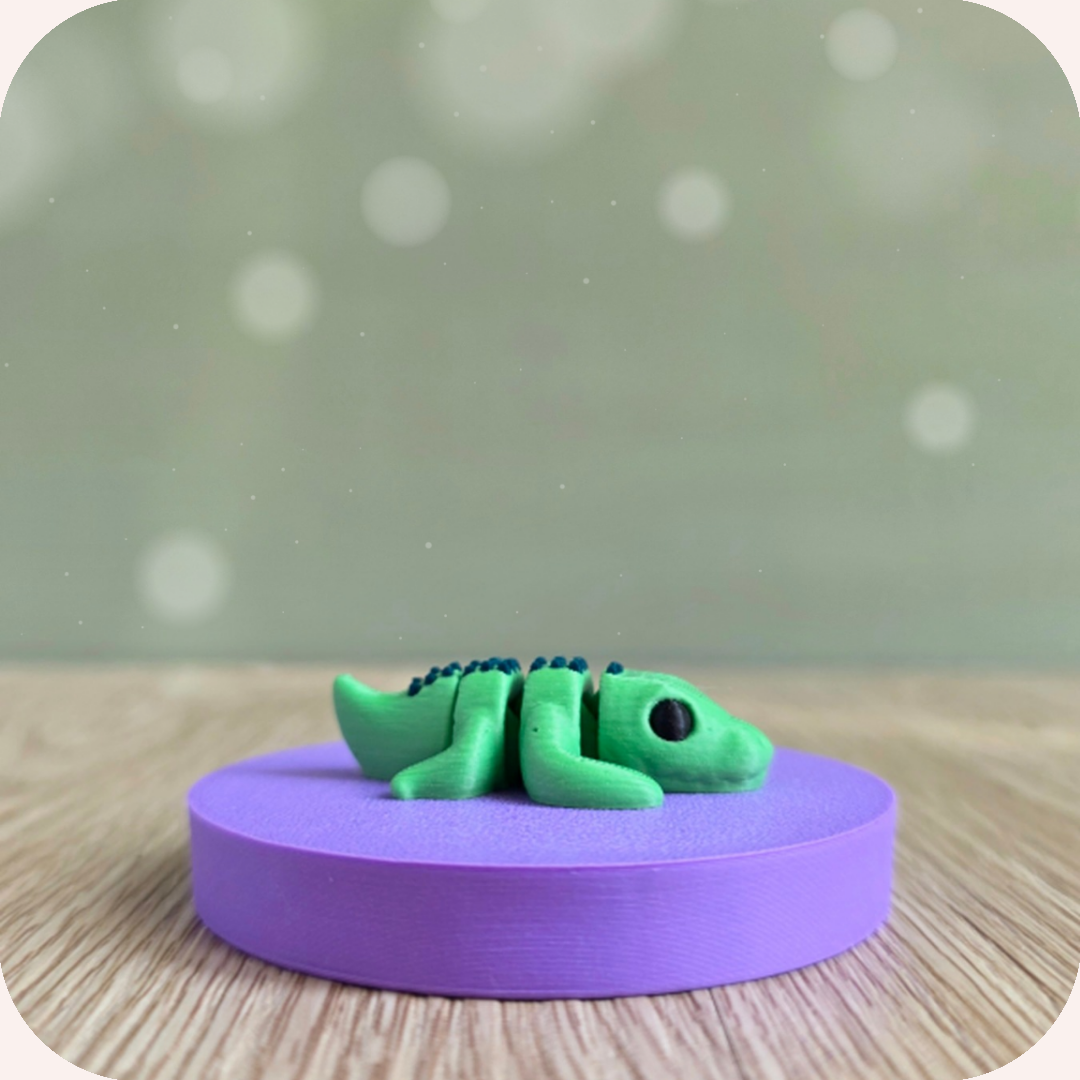 Mini crocodile - Ohana Dream