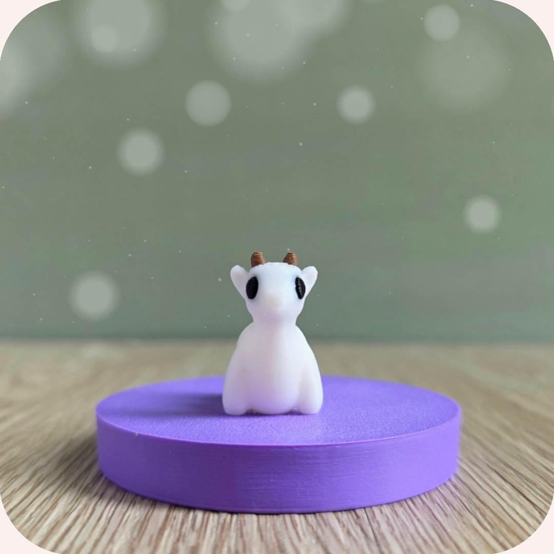 Mini chèvre - Ohana Dream