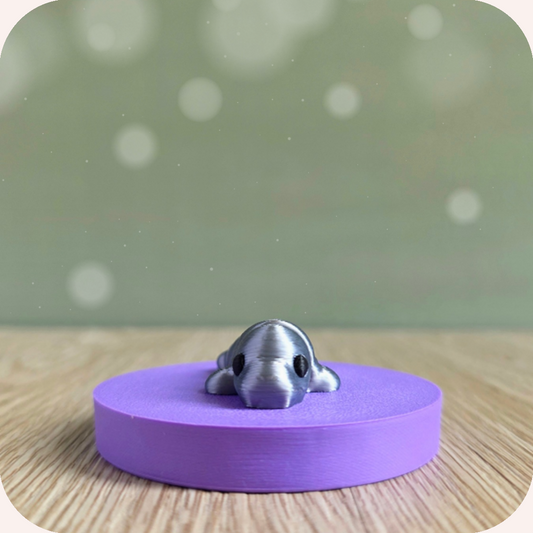 Mini éléphant de mer - Ohana Dream