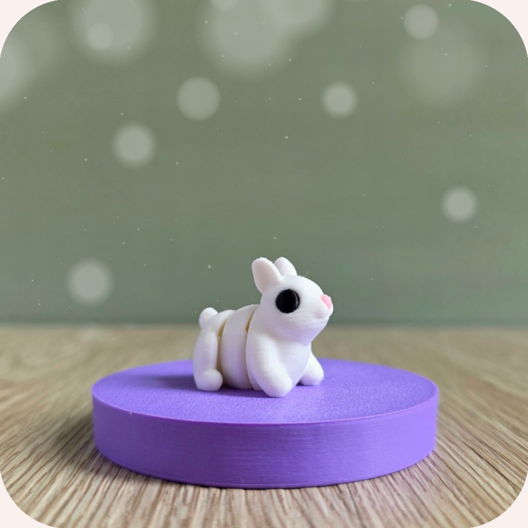 Mini lapin - Ohana Dream