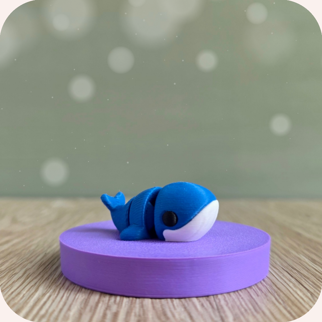 Mini baleine - Ohana Dream