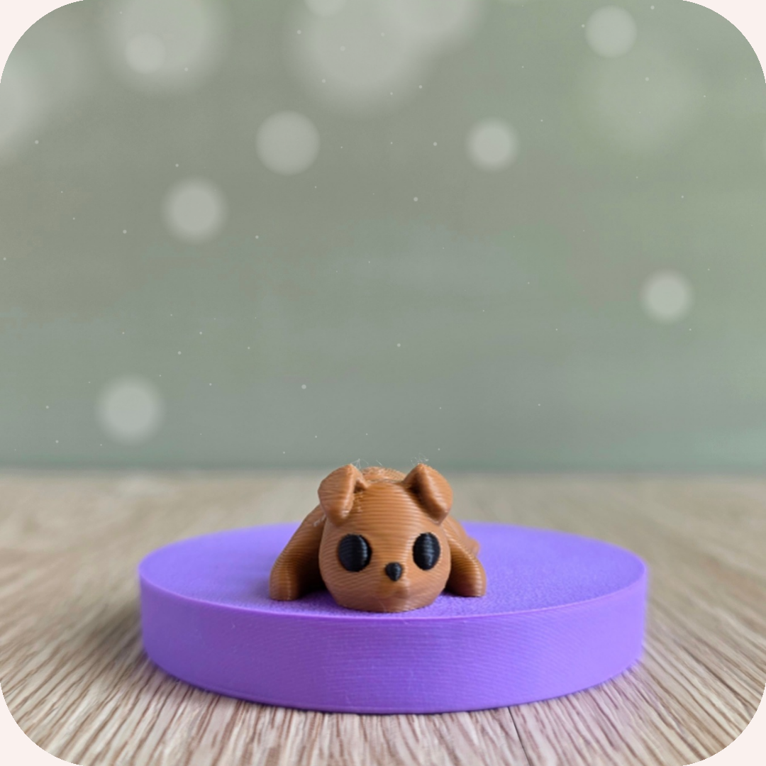 Mini chien - Ohana Dream