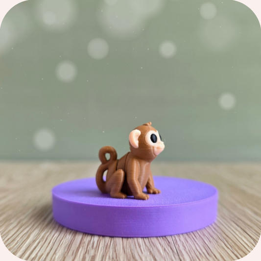 Mini ouistiti - Ohana Dream