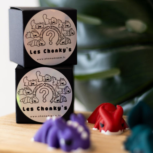 Box mystère figurines à collectionner. Chonkys