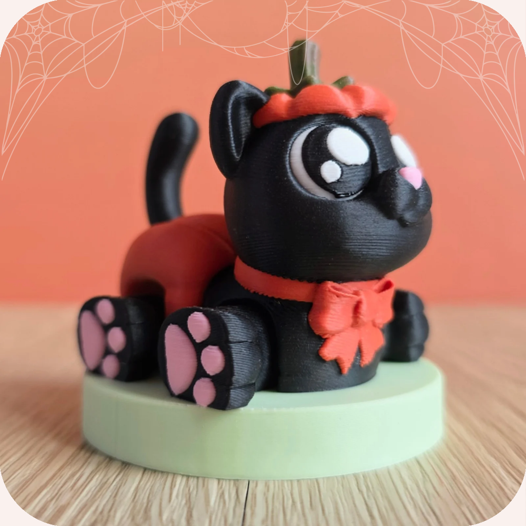 Chat dâHalloween đ | Mignonnerie Ohana Dream đ±