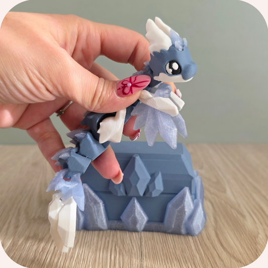 Dragon - Elyska et son coffre | Mignonnerie Ohana Dream ❄️