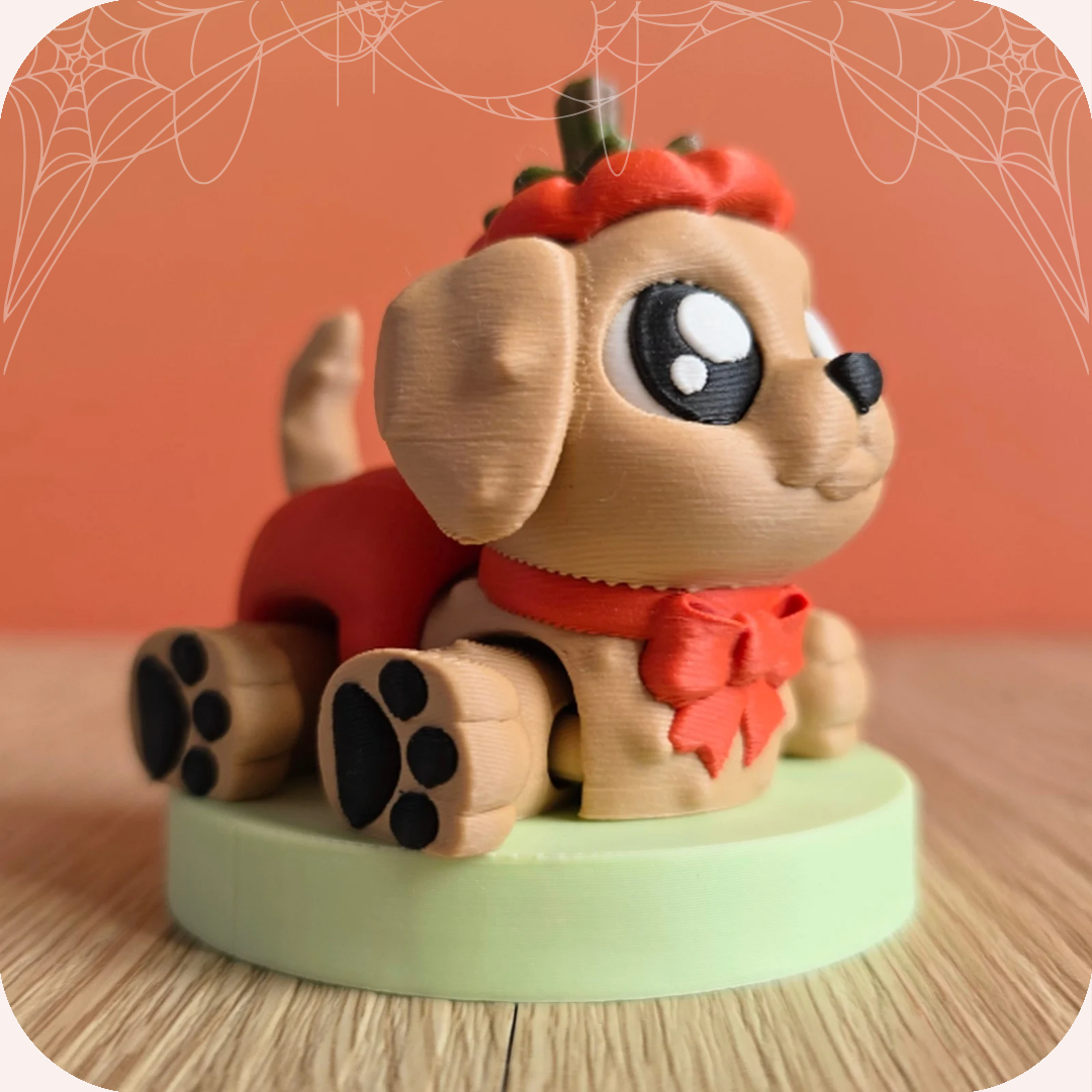 Chien dâHalloween đ | Mignonnerie Ohana Dream
