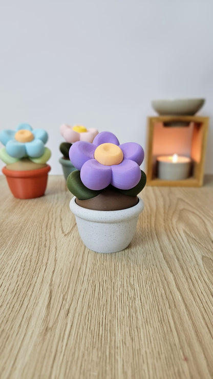 Boite "pot de fleurs" - Ohana Dream