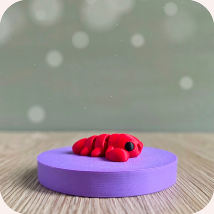 Mini homard - Ohana Dream