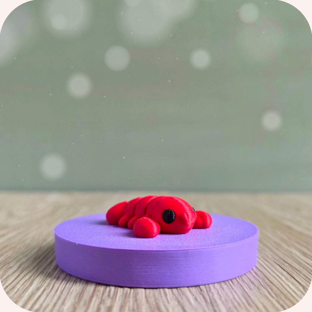 Mini homard - Ohana Dream