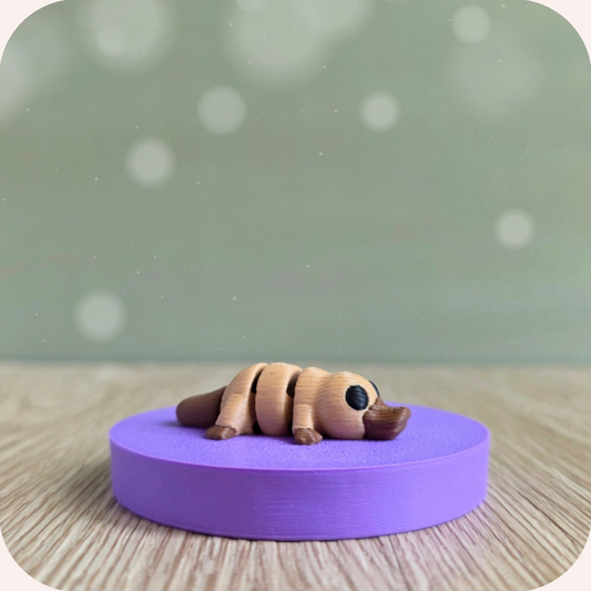 Mini ornithorynque - Ohana Dream