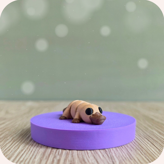 Mini ornithorynque - Ohana Dream
