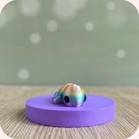 Mini narval - Ohana Dream