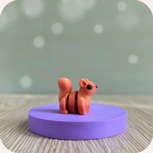 Mini écureuil - Ohana Dream