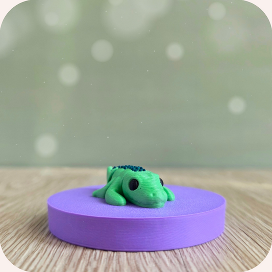 Mini crocodile - Ohana Dream