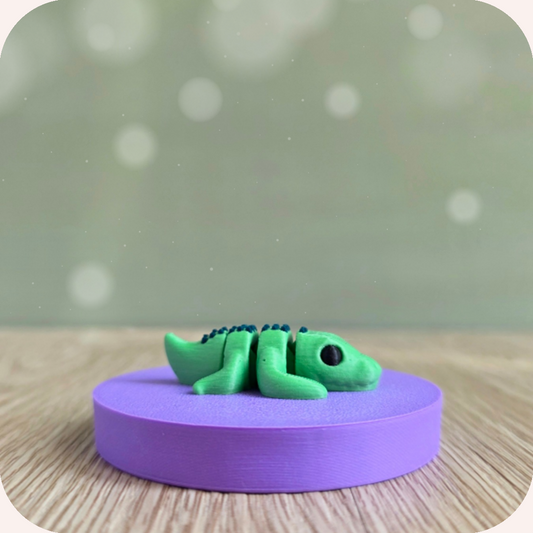 Mini crocodile - Ohana Dream