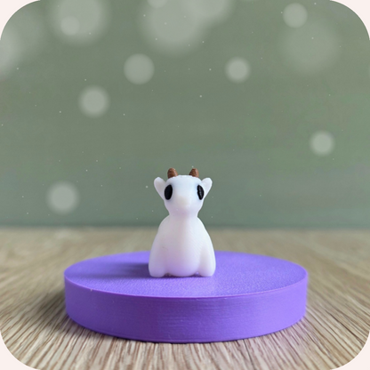 Mini chèvre - Ohana Dream
