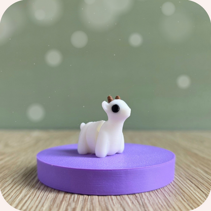 Mini chèvre - Ohana Dream