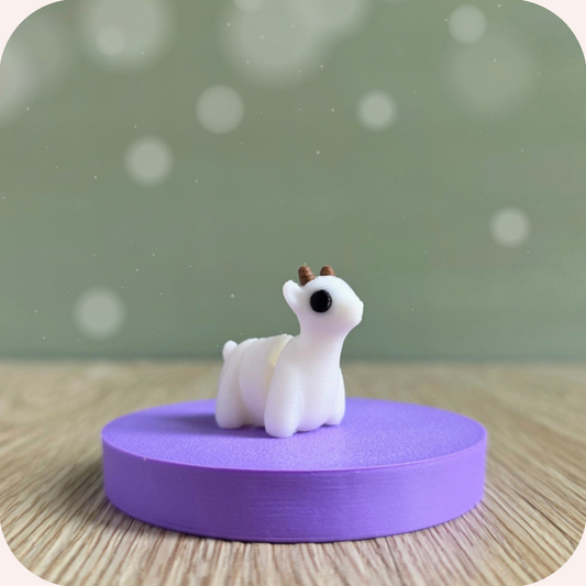 Mini chèvre - Ohana Dream