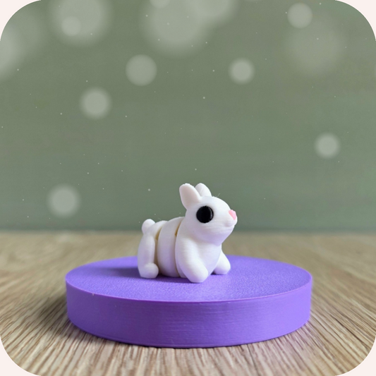 Mini lapin - Ohana Dream