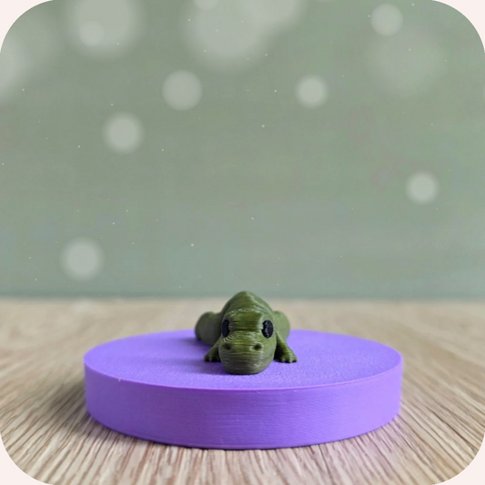 Mini T-Rex allongé - Ohana Dream