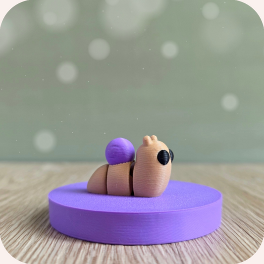 Mini escargot - Ohana Dream