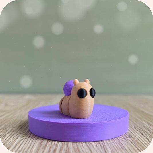 Mini escargot - Ohana Dream