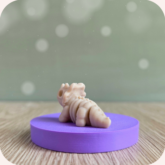 Mini tricératops squelette - Ohana Dream