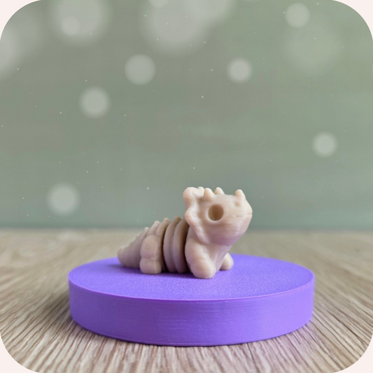 Mini tricératops squelette - Ohana Dream