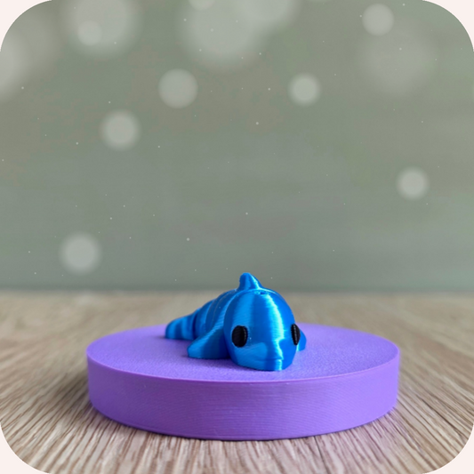 Mini dauphin - Ohana Dream
