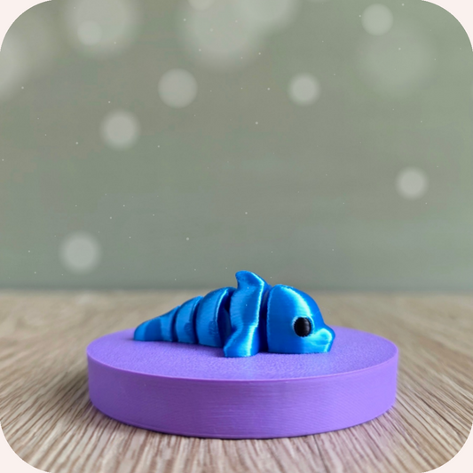 Mini dauphin - Ohana Dream