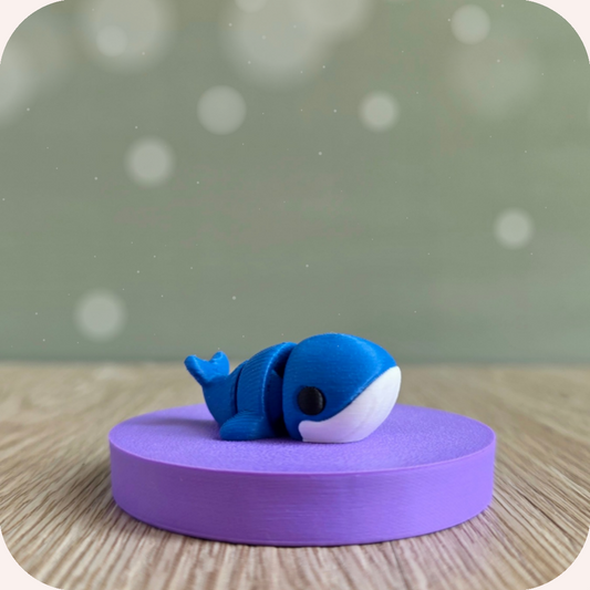Mini baleine - Ohana Dream