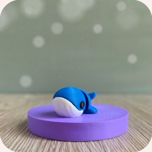 Mini baleine - Ohana Dream