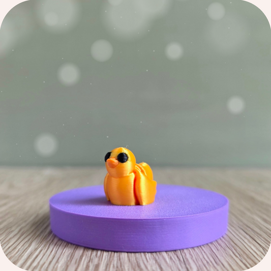 Mini canard - Ohana Dream