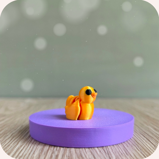 Mini canard - Ohana Dream