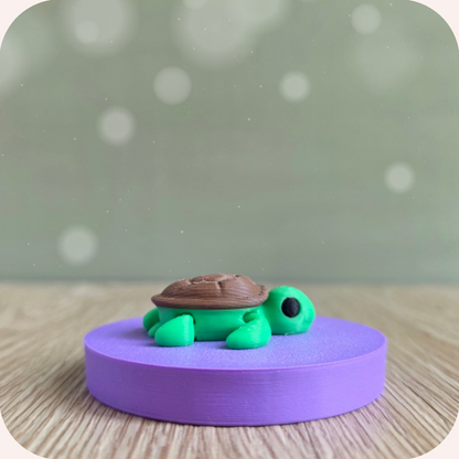 Mini tortue - Ohana Dream
