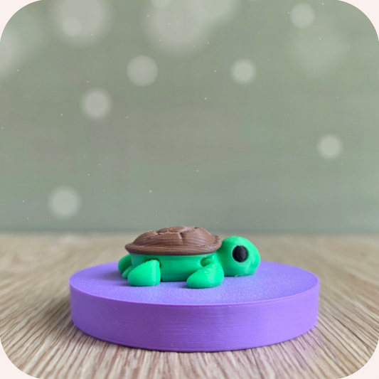 Mini tortue - Ohana Dream