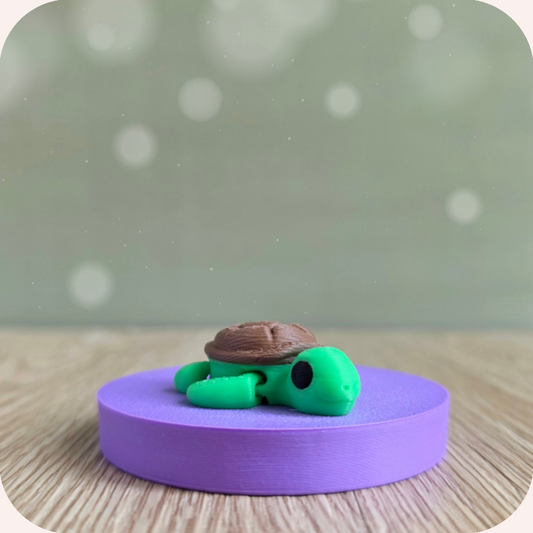 Mini tortue - Ohana Dream