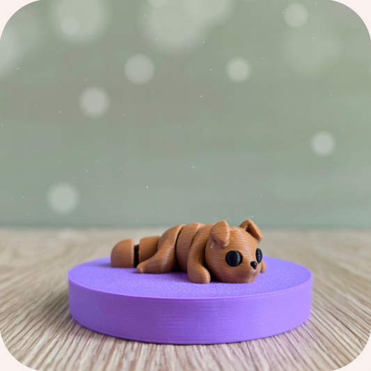 Mini chien - Ohana Dream