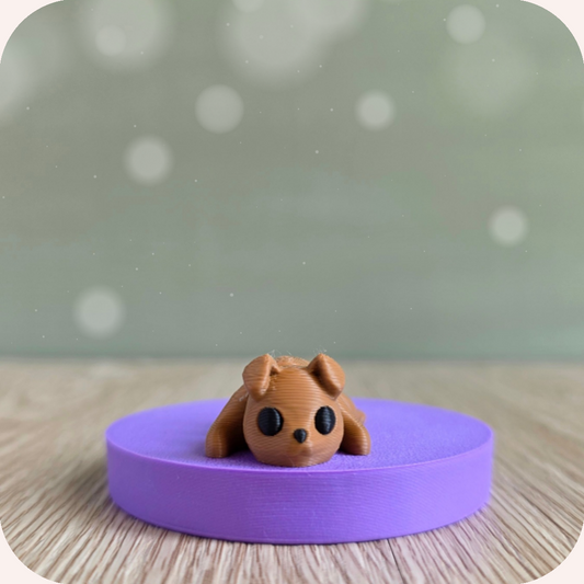 Mini chien - Ohana Dream