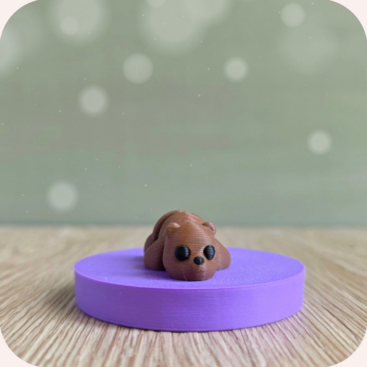 Mini Ours | Figurine Ohana Dream 🐻