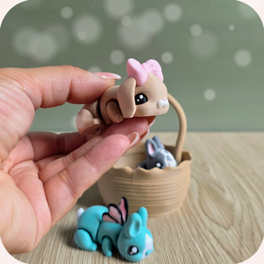Petits Lapins 🐰🥕