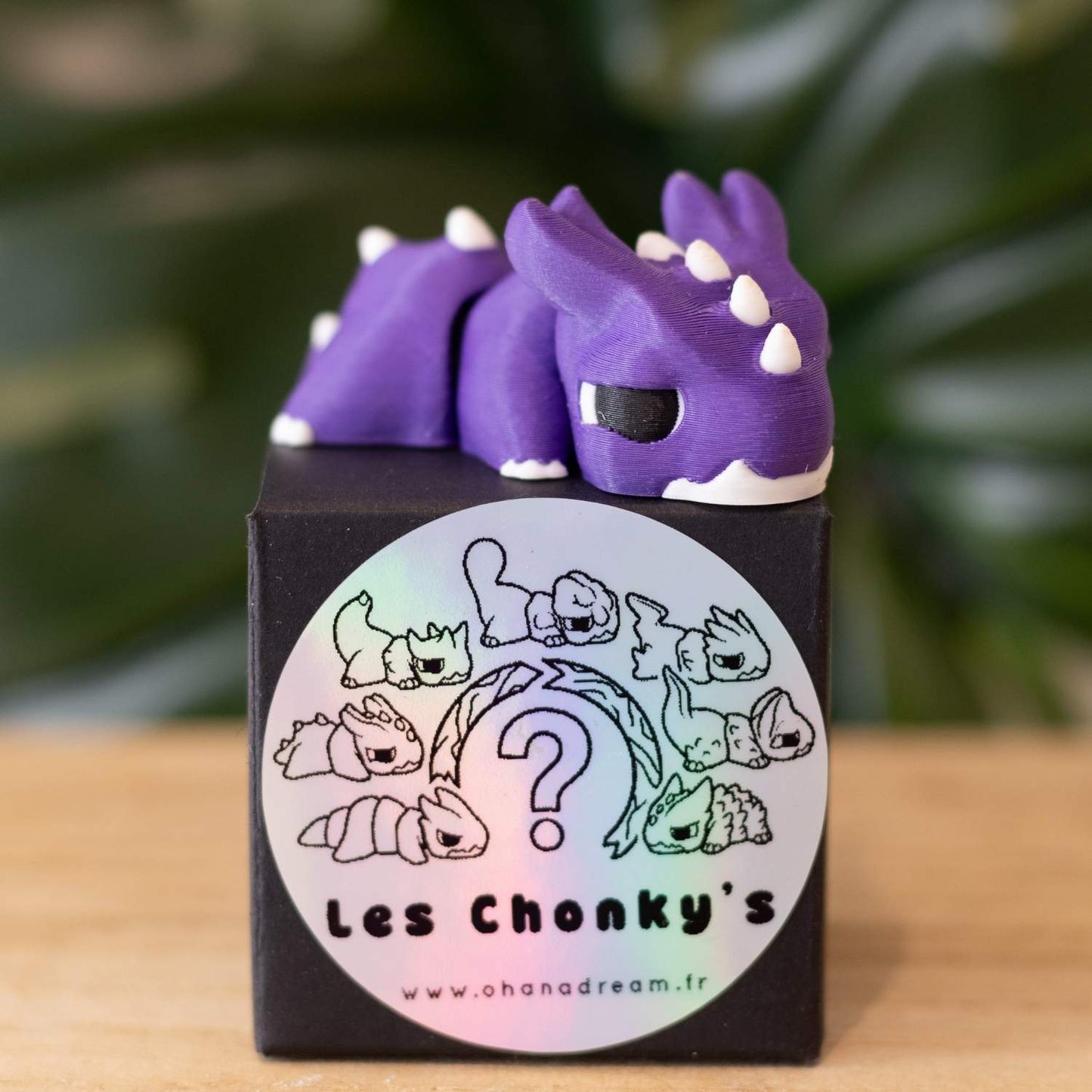 Box mystère - Figurines à collectionner Les Chonky's