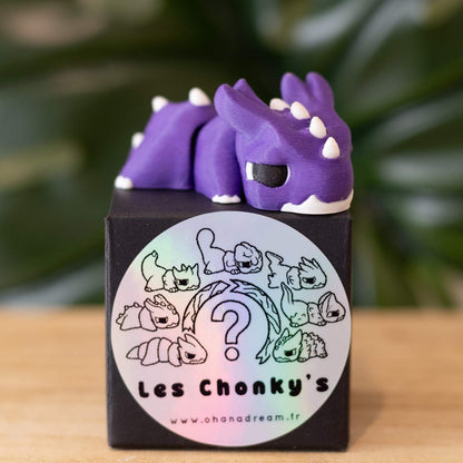 Box mystère - Figurines à collectionner Les Chonky's