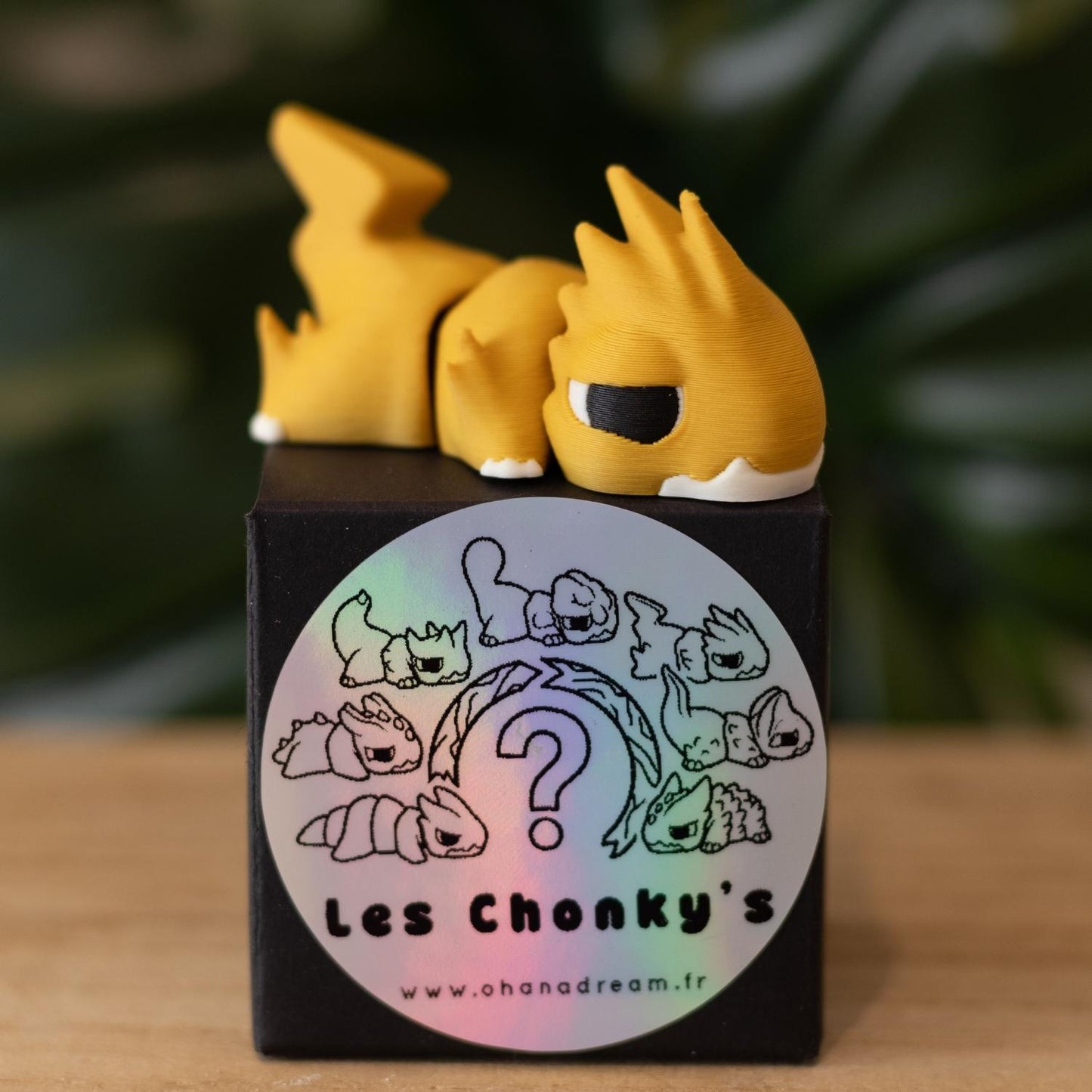Box mystère - Figurines à collectionner Les Chonky's