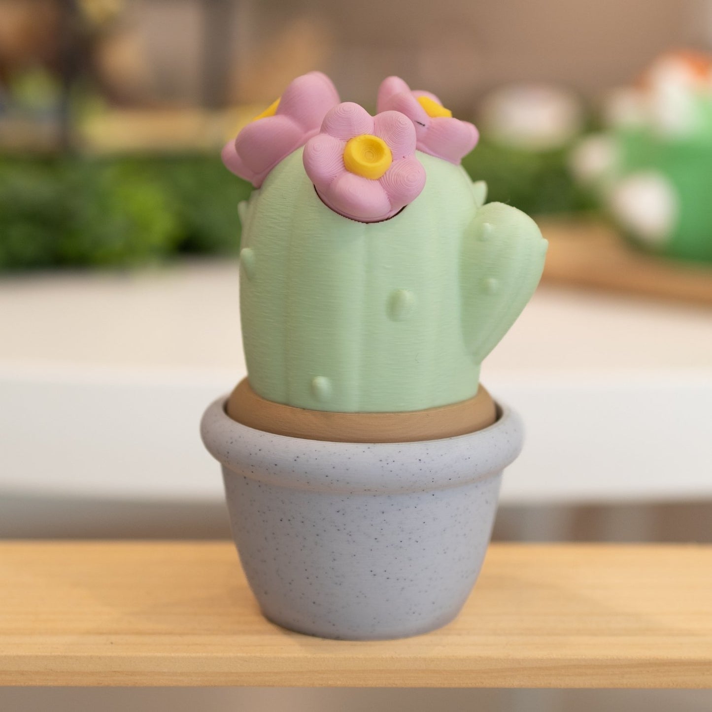 Boîte cactus 3D pot blanc vert pastel et fleurs roses