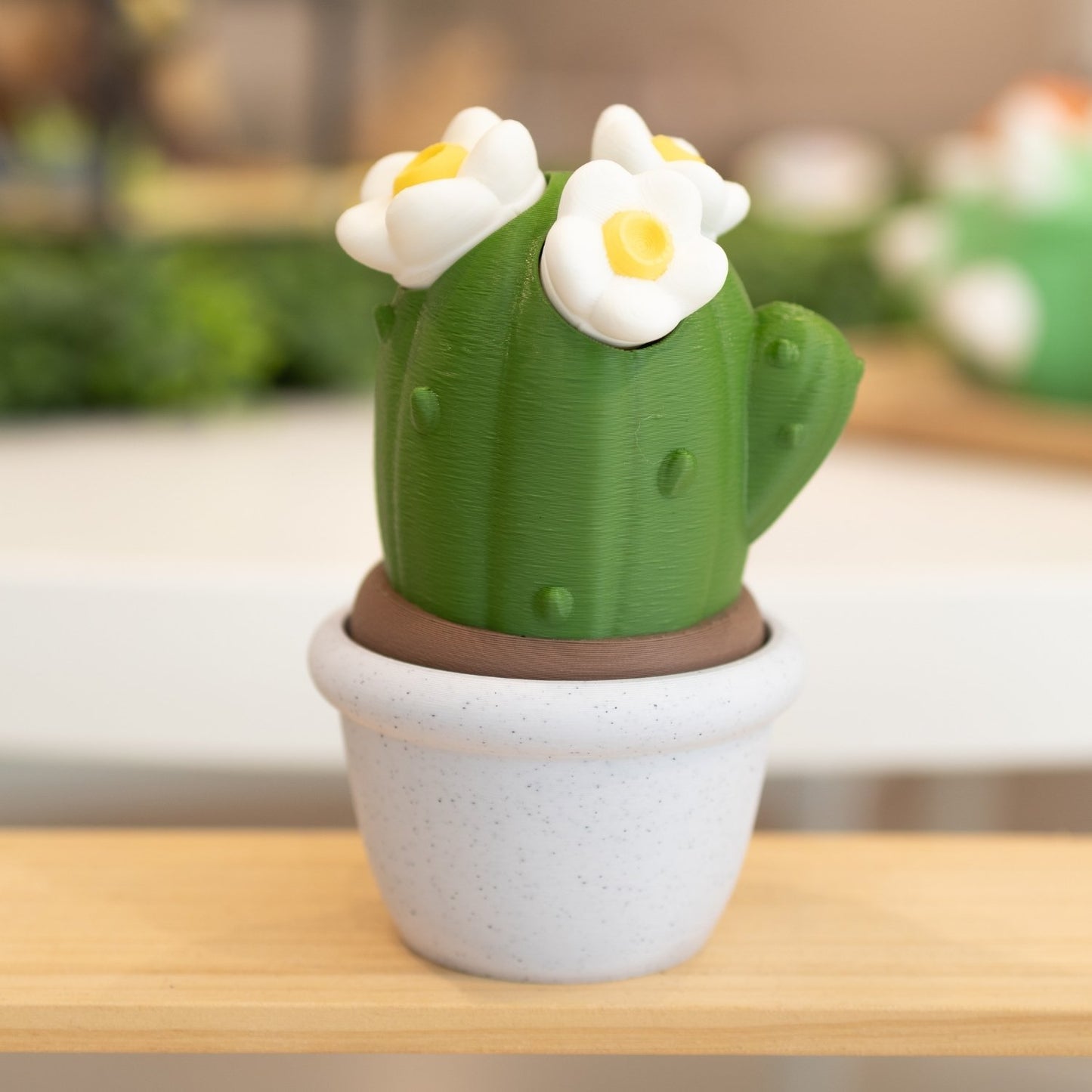 Boîte cactus 3D pot blanc vert foncé et fleurs blanches
